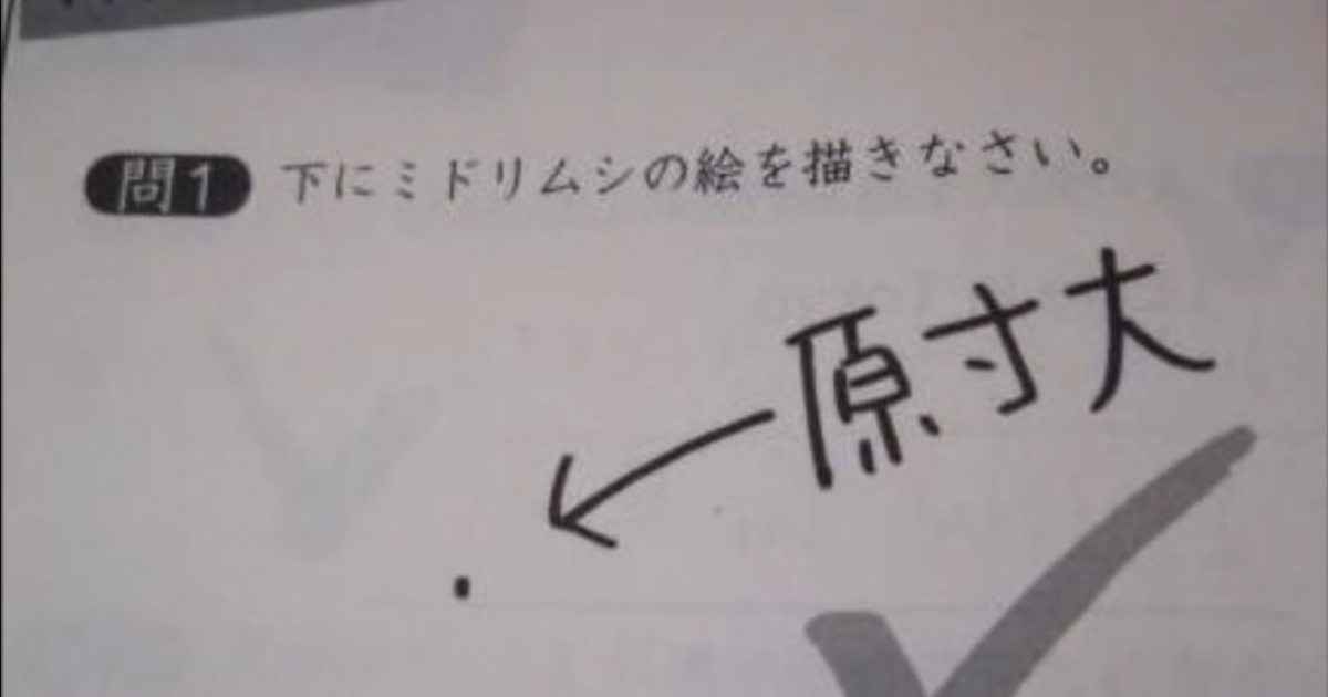 テストや問題集の珍回答・教科書の落書きが見たい