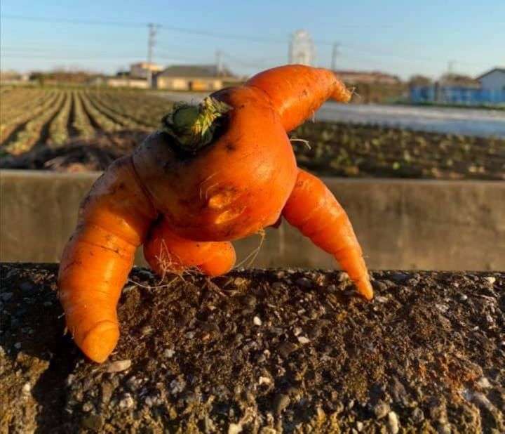 ラスボス感のある画像ください