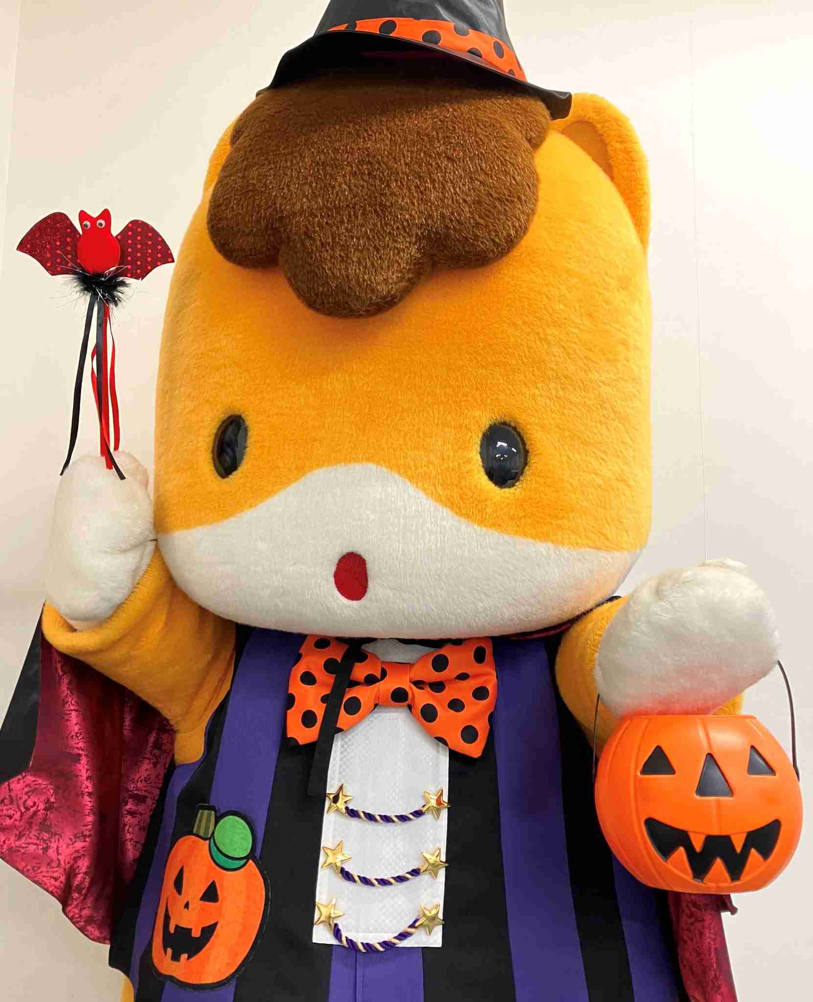 今日はハロウィン
