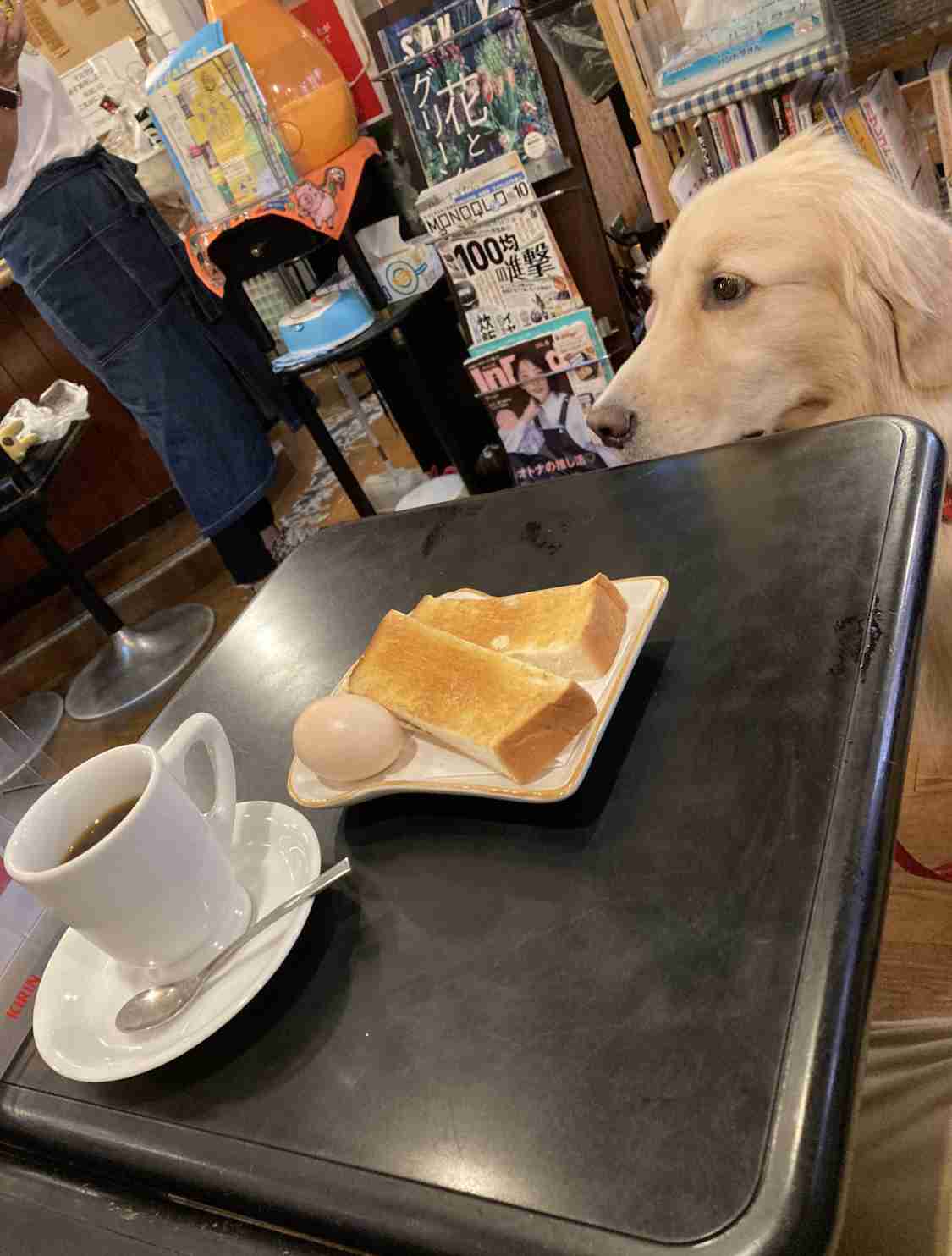 【看板犬】看板動物を貼るトピ【看板猫など】