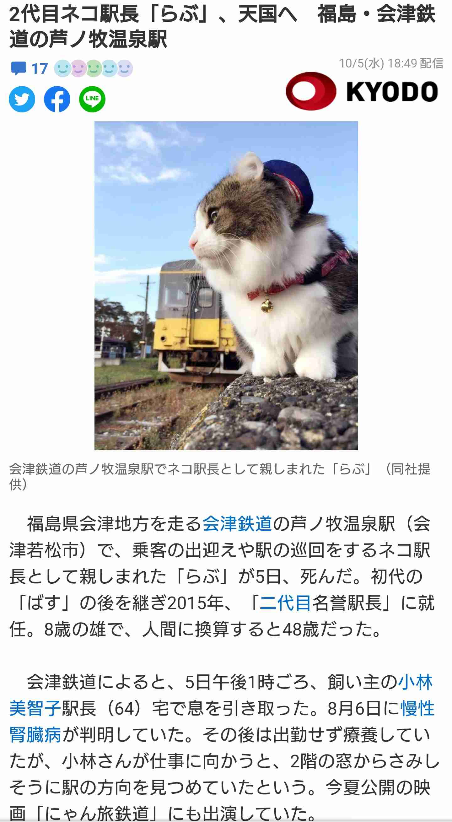 【看板犬】看板動物を貼るトピ【看板猫など】