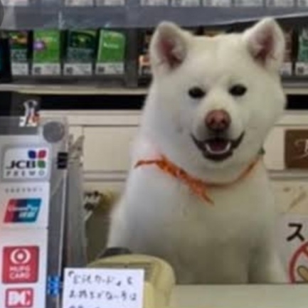 【看板犬】看板動物を貼るトピ【看板猫など】