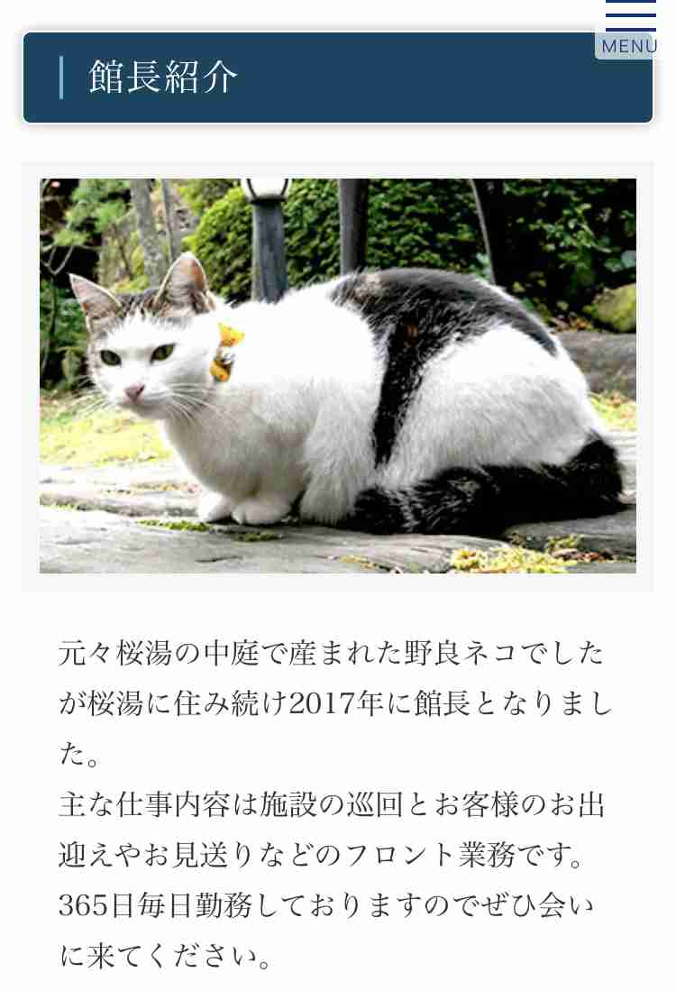 【看板犬】看板動物を貼るトピ【看板猫など】