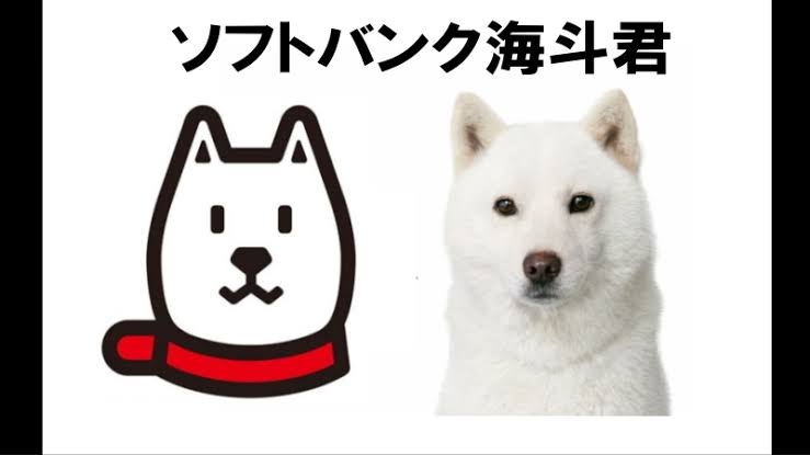 【看板犬】看板動物を貼るトピ【看板猫など】