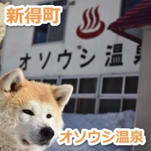 【看板犬】看板動物を貼るトピ【看板猫など】
