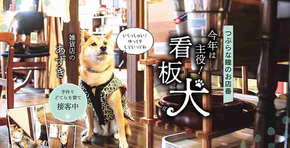 【看板犬】看板動物を貼るトピ【看板猫など】