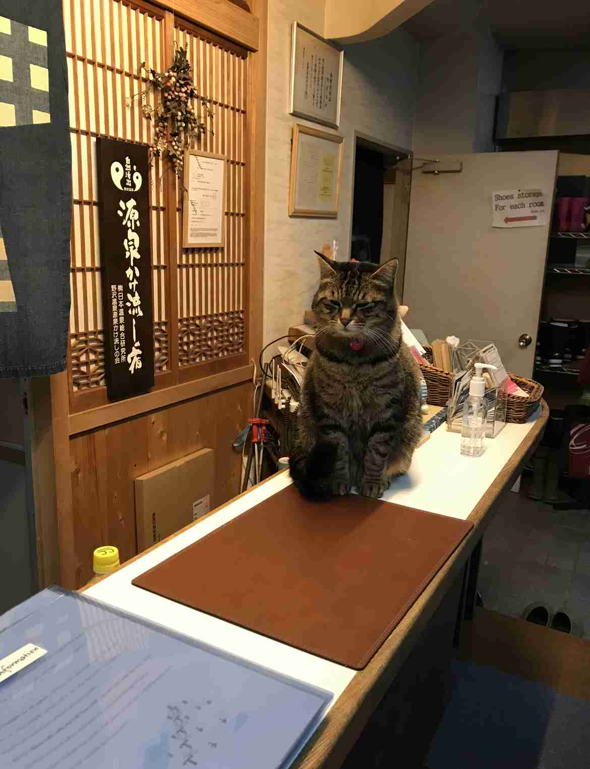 【看板犬】看板動物を貼るトピ【看板猫など】