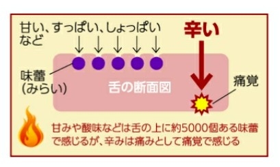 「いいとも」炎上事件の再来…「ポップUP」“人気の鍋ランキング第1位”に視聴者ブチギレ