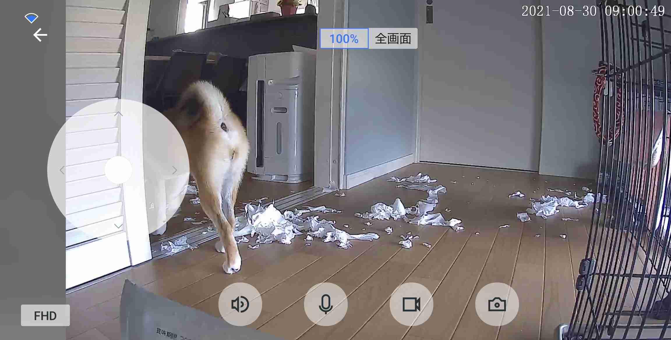 ペット見守りカメラって実際どうですか？