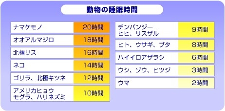 超ロングスリーパーの人