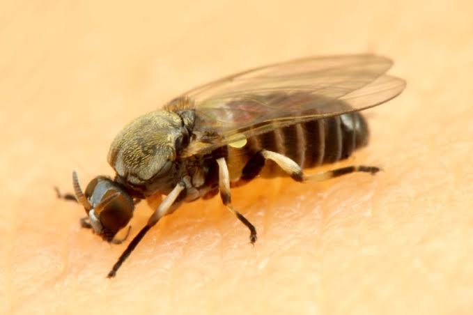 みちょぱ　左足のくるぶしに…「お先真っ暗じゃん」悩まされている症状を告白
