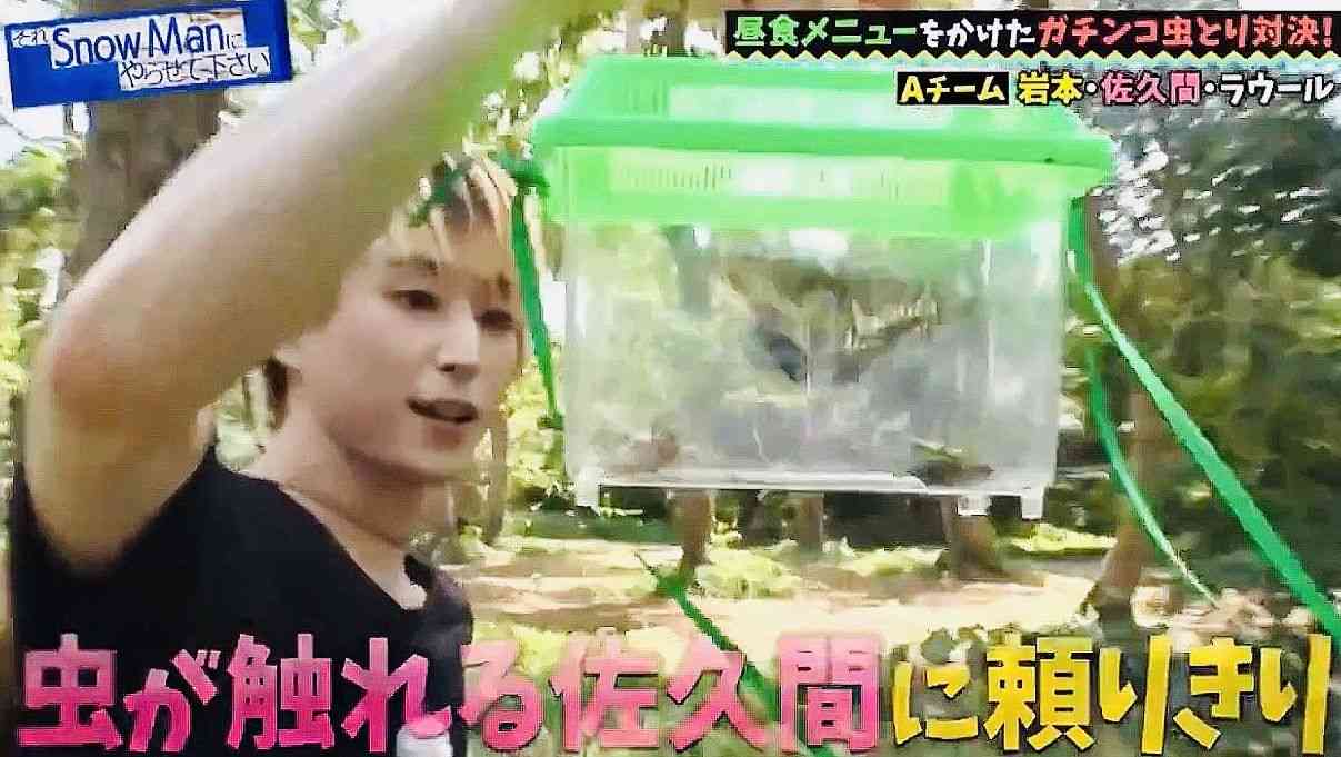 今年の虫事情