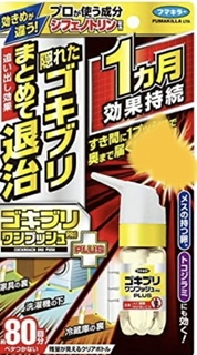 今年の虫事情