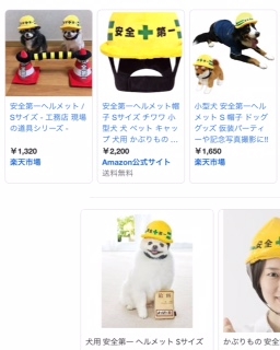 2歳児の母が考えた「子ども用ハーネス」に反響…“工事現場風”のデザインには切実な思いがあった