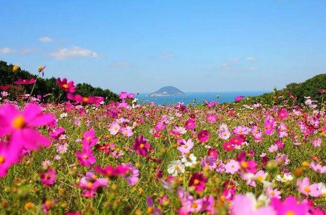 自分が死んだらどうなるのかな？