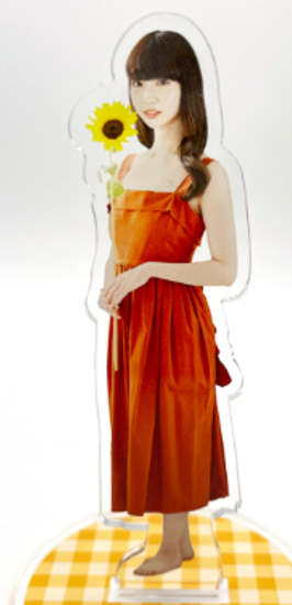 荻野由佳「NGT48暴行事件」誹謗中傷の日々を告白 発信者開示の法改正直前でもなお粘着し続ける「アンチ」