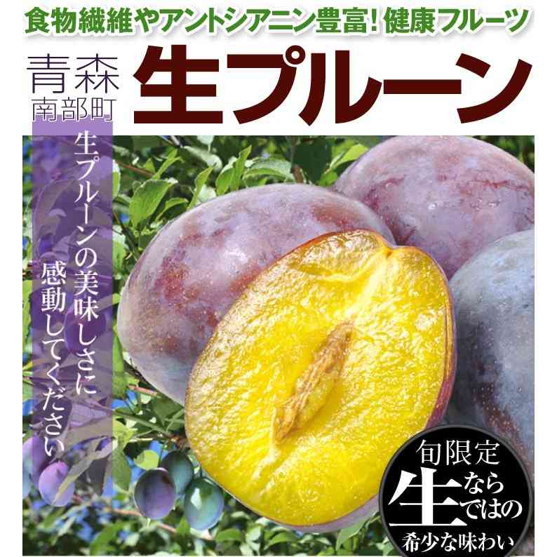 ふるさと納税のおすすめ返礼品