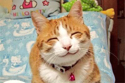 今日1番の幸せを感じた瞬間