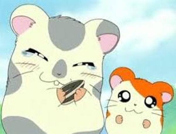 懐かしのアニメを挙げて、観たことある人が何かコメントを返してくれるトピPart3