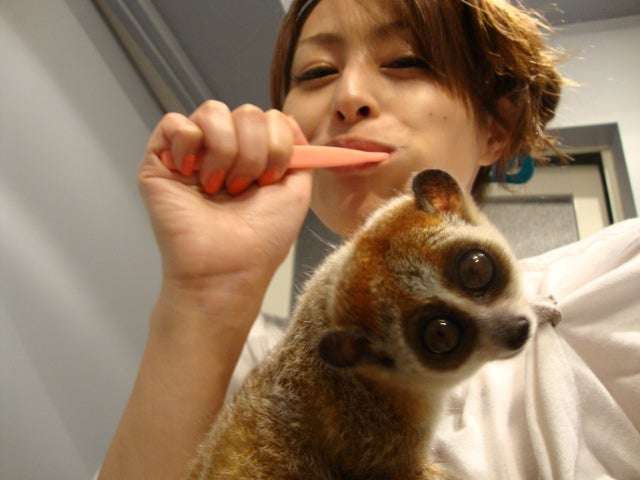 この人誰？と気になる有名人の写真を貼って誰かに名前を教えて貰うトピ。