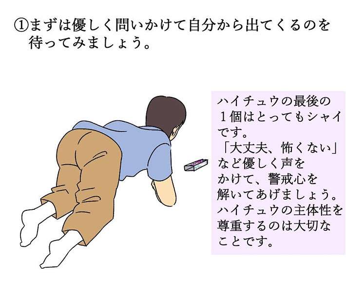 最後の１個になった！食べる？食べない？