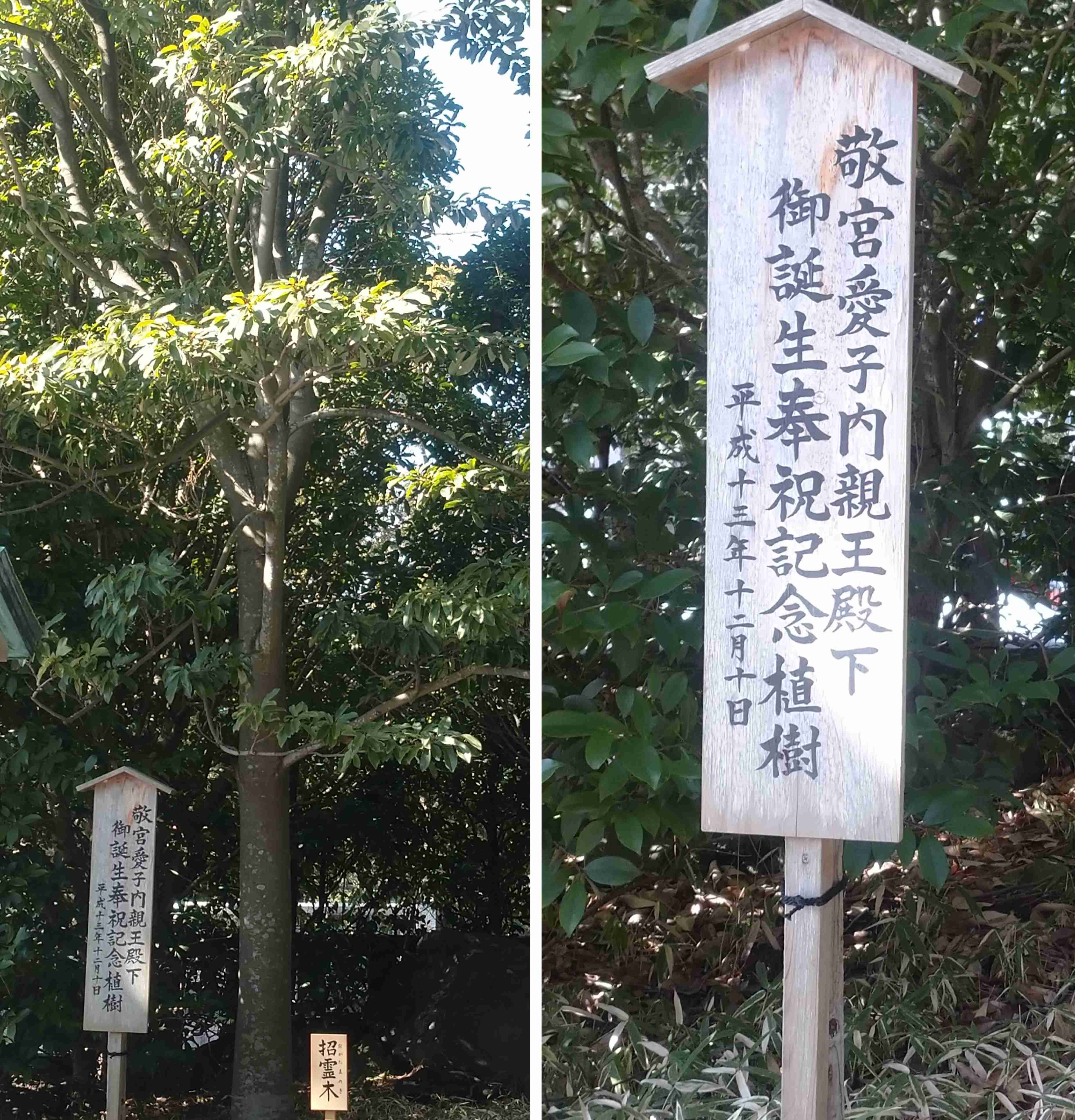 満身創痍を経験したことがある方!