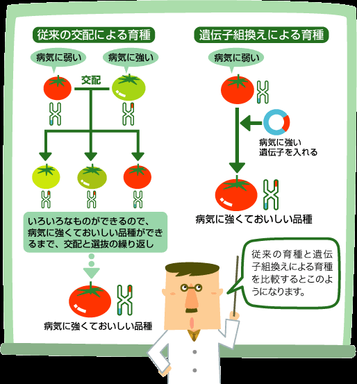 遺伝子組み換え食品、気にしてますか?