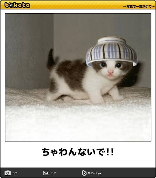 商品の取り扱い説明どのくらい守っていますか？