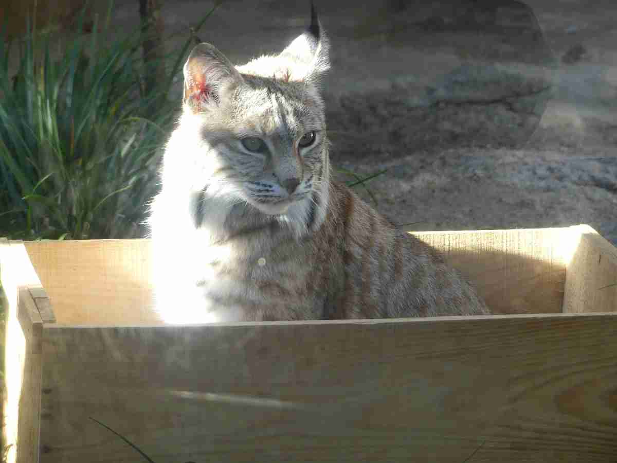 動物園や水族館で撮った写真見せてください!