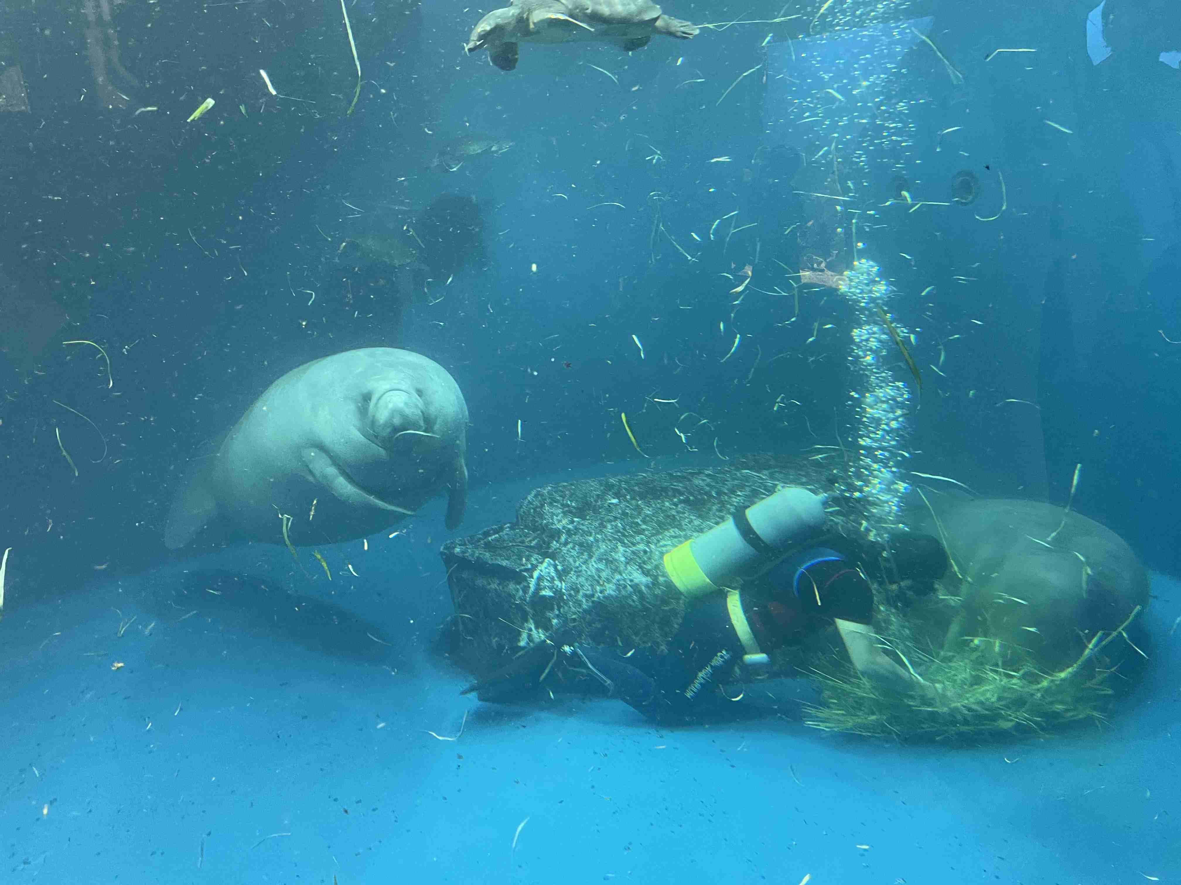 動物園や水族館で撮った写真見せてください!