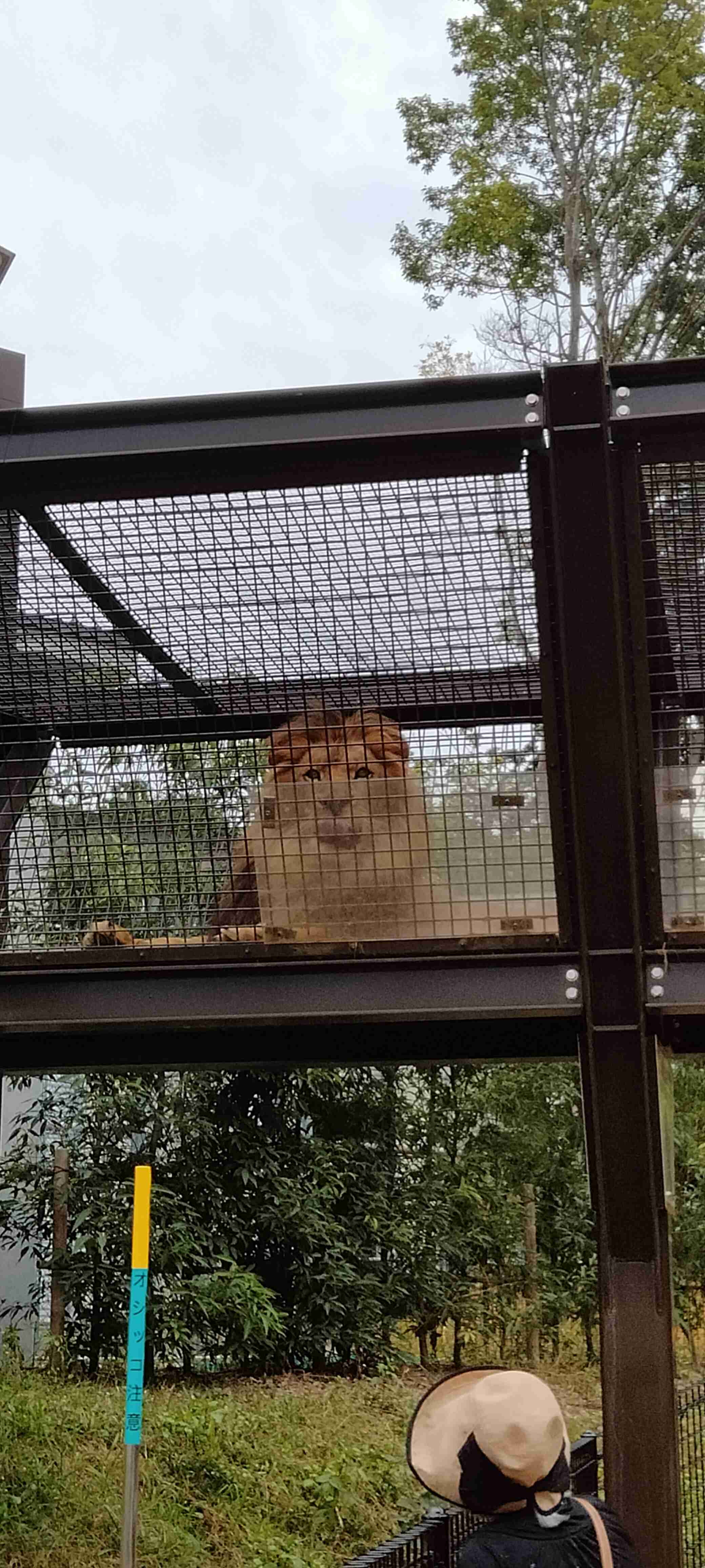 動物園や水族館で撮った写真見せてください!