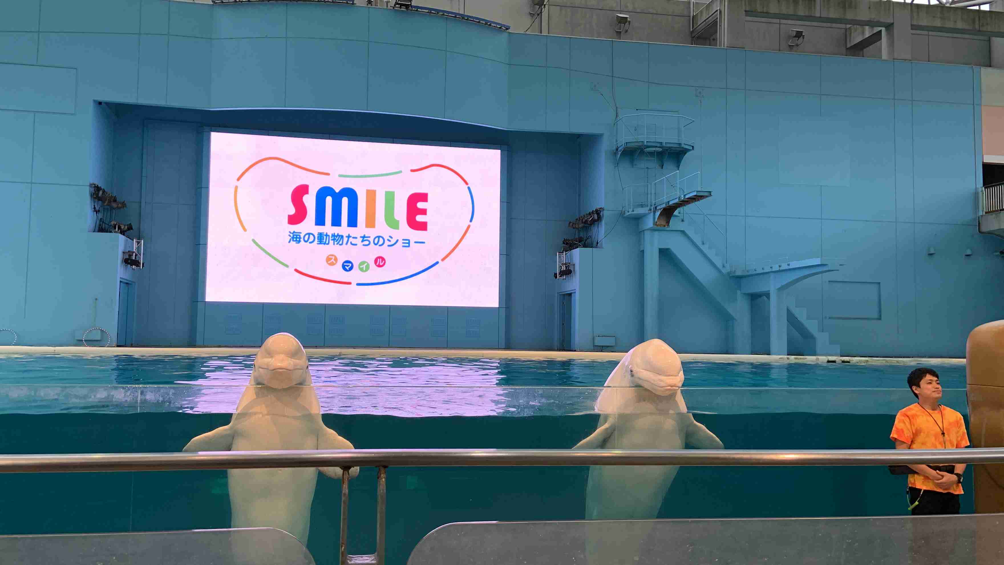 動物園や水族館で撮った写真見せてください!
