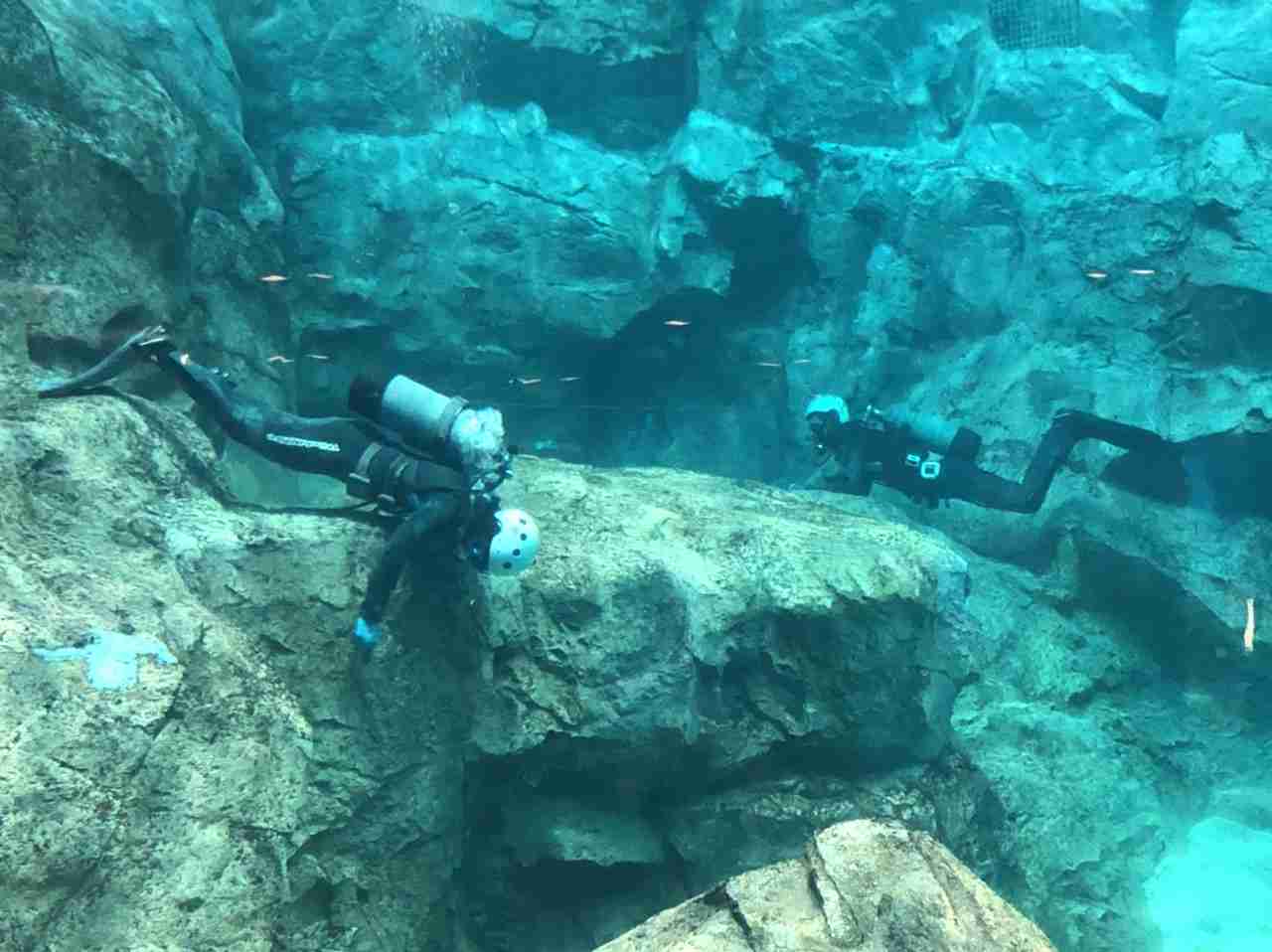 動物園や水族館で撮った写真見せてください!