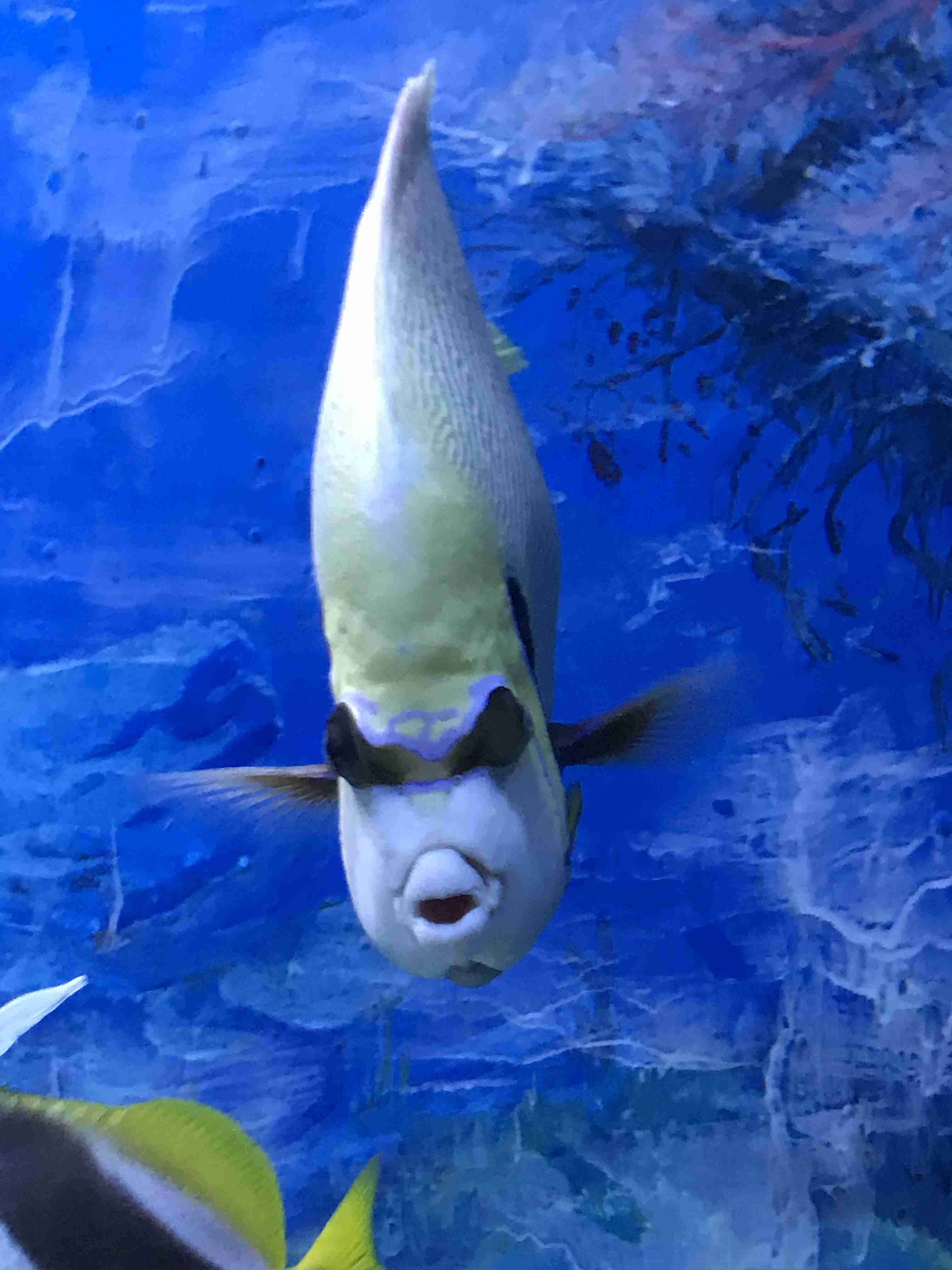 動物園や水族館で撮った写真見せてください!
