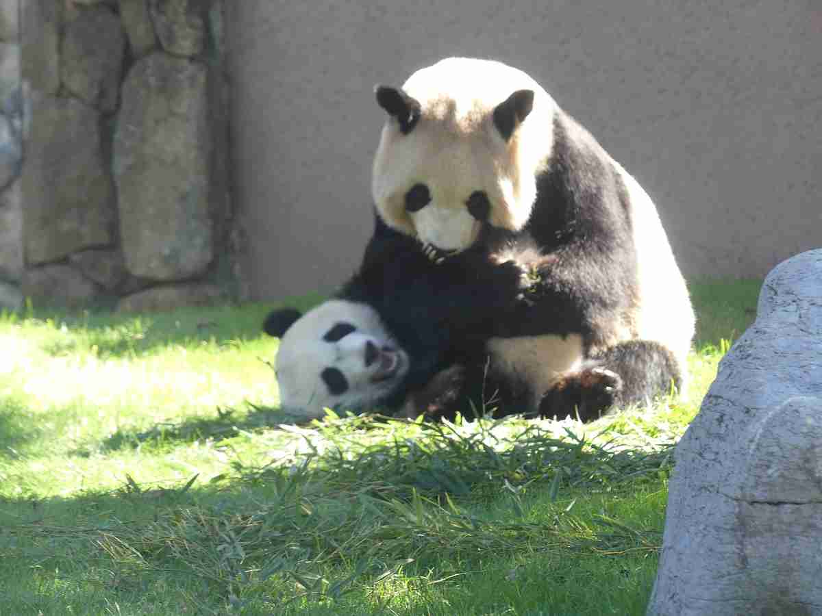 動物園や水族館で撮った写真見せてください!