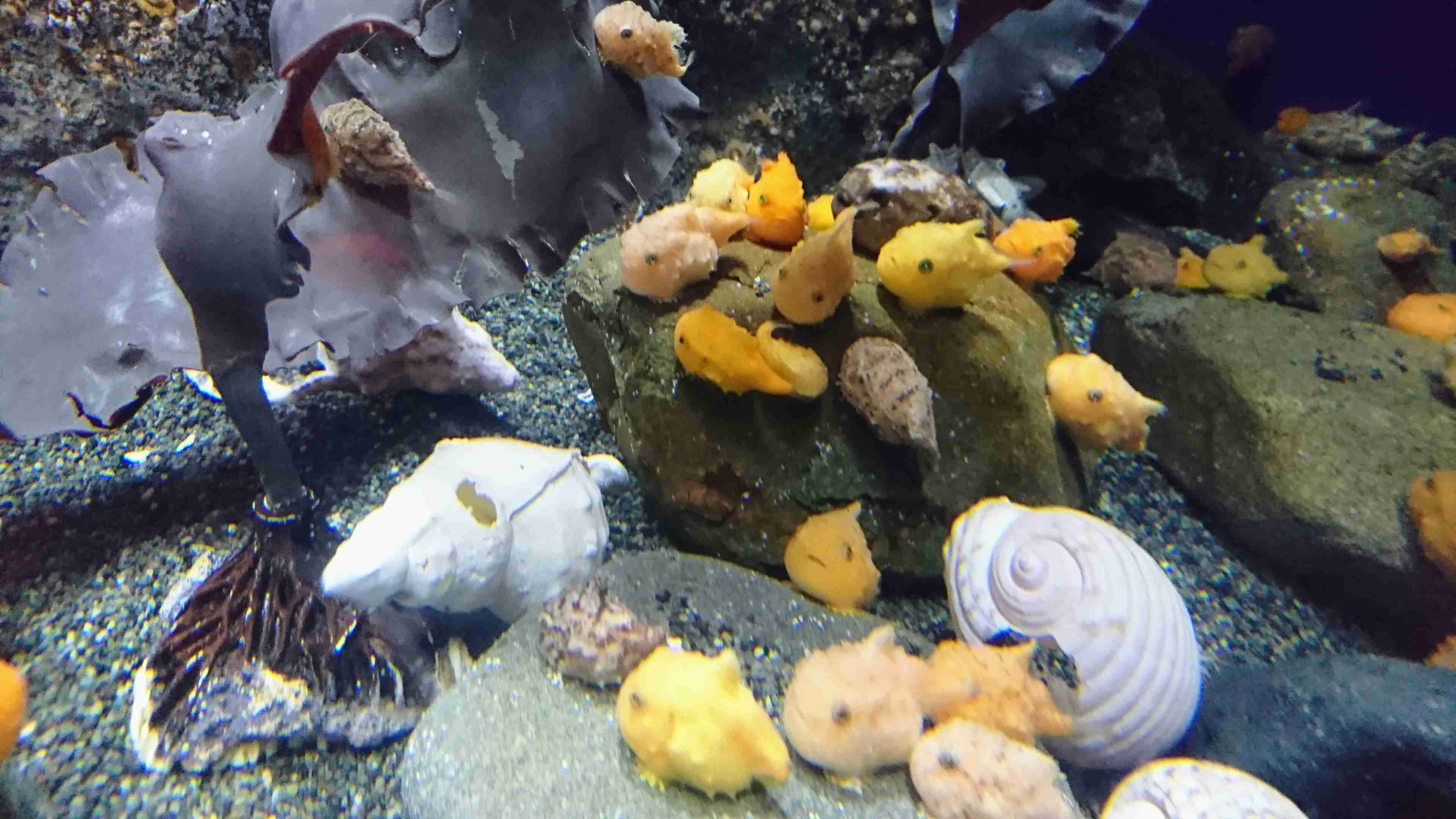 動物園や水族館で撮った写真見せてください!