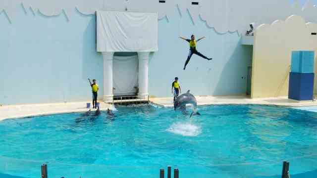 動物園や水族館で撮った写真見せてください!