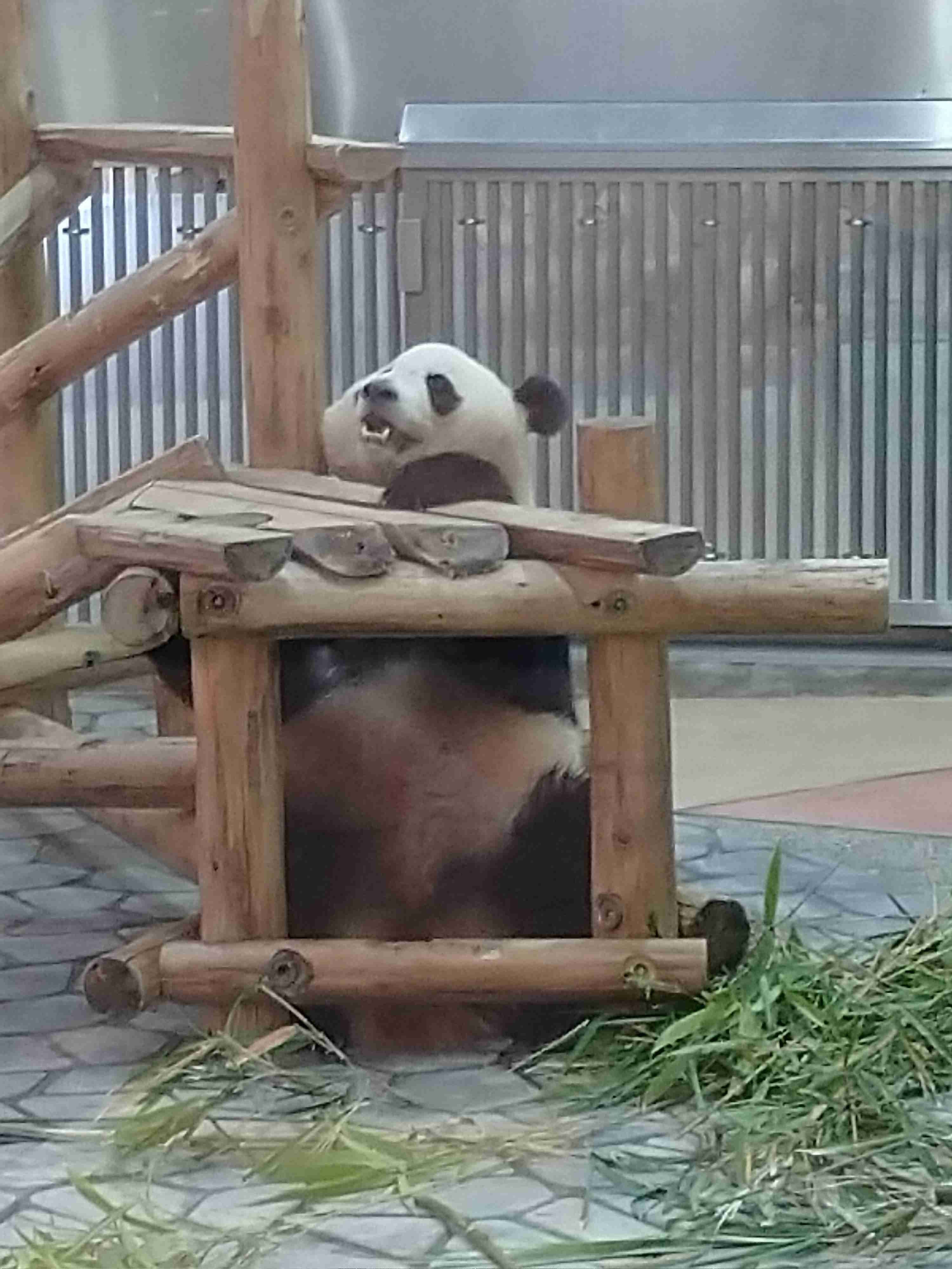 動物園や水族館で撮った写真見せてください!
