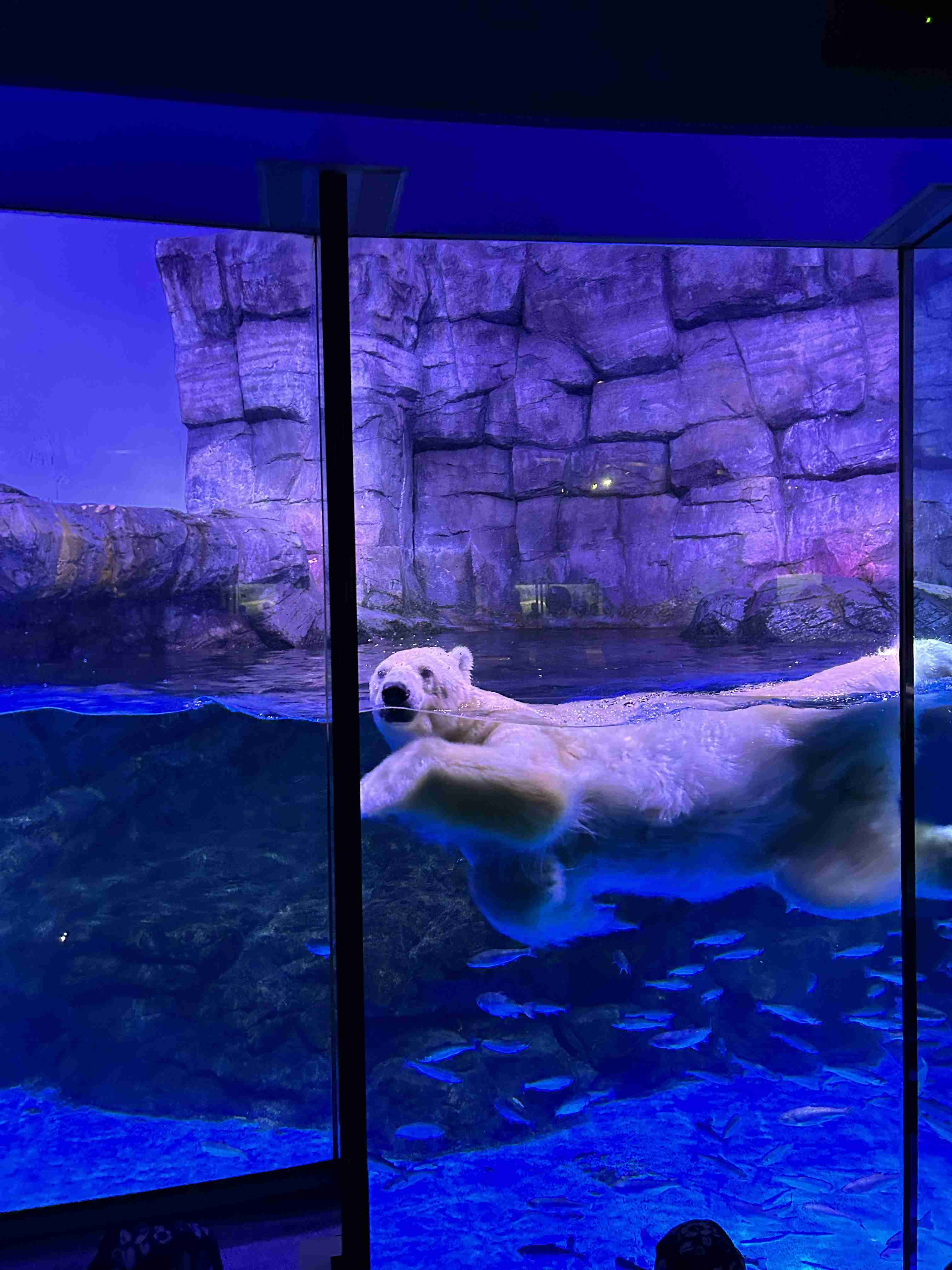 動物園や水族館で撮った写真見せてください!