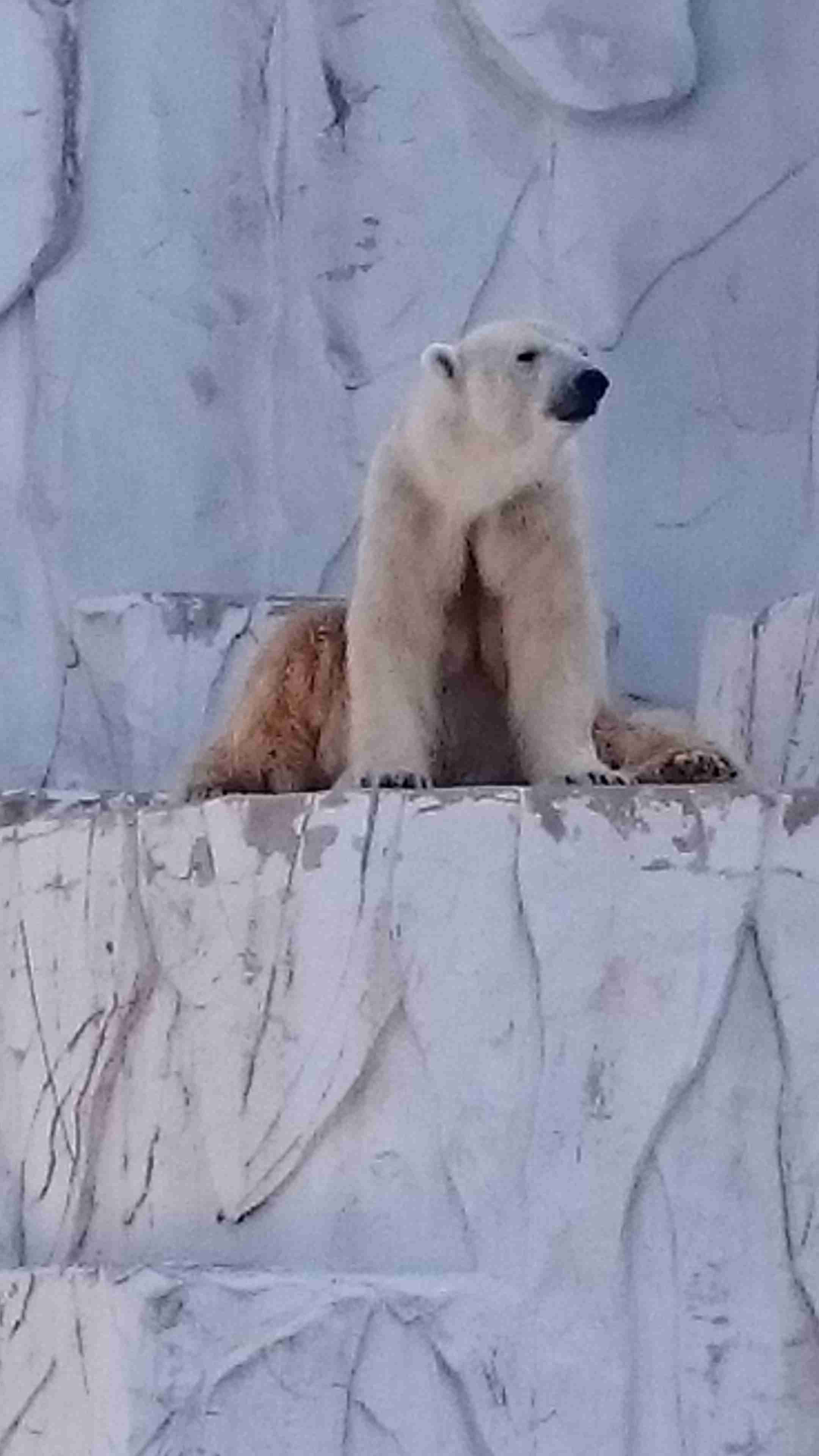 動物園や水族館で撮った写真見せてください!