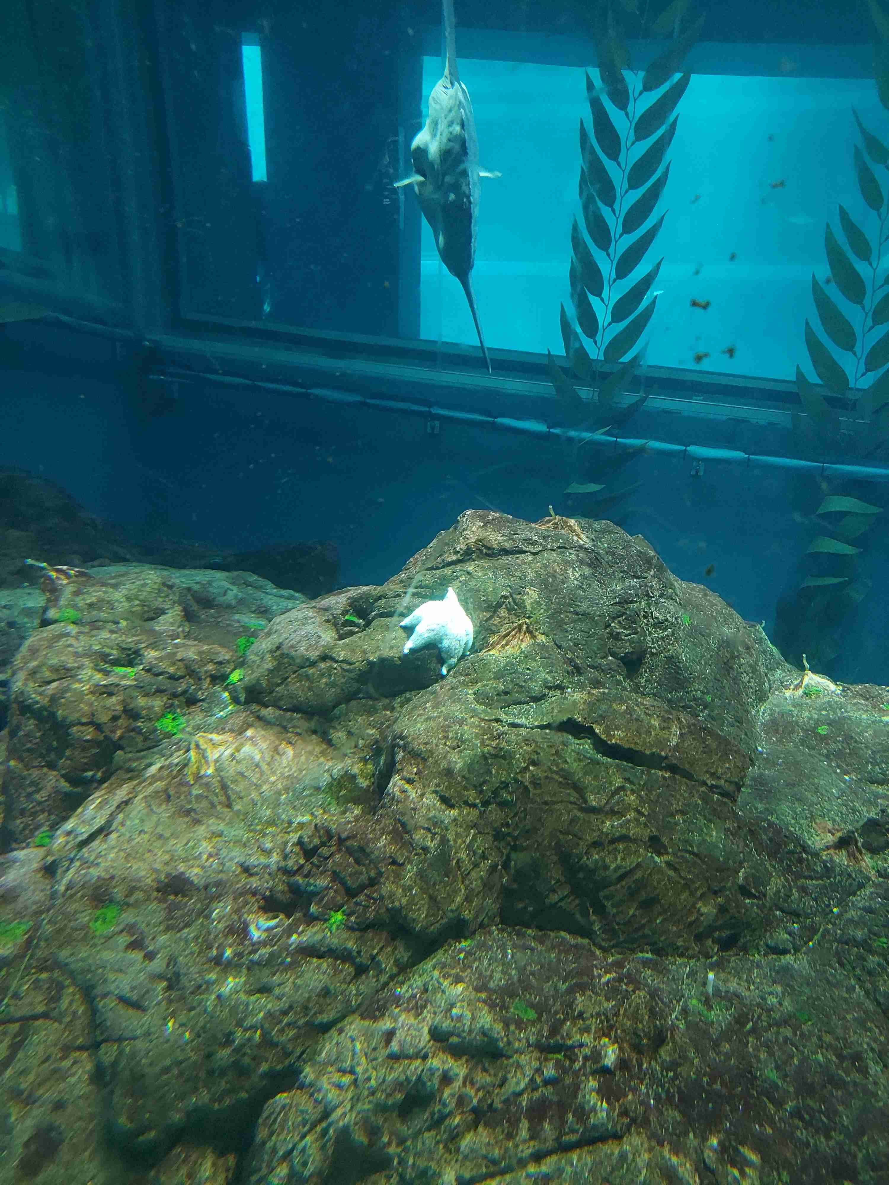 動物園や水族館で撮った写真見せてください!