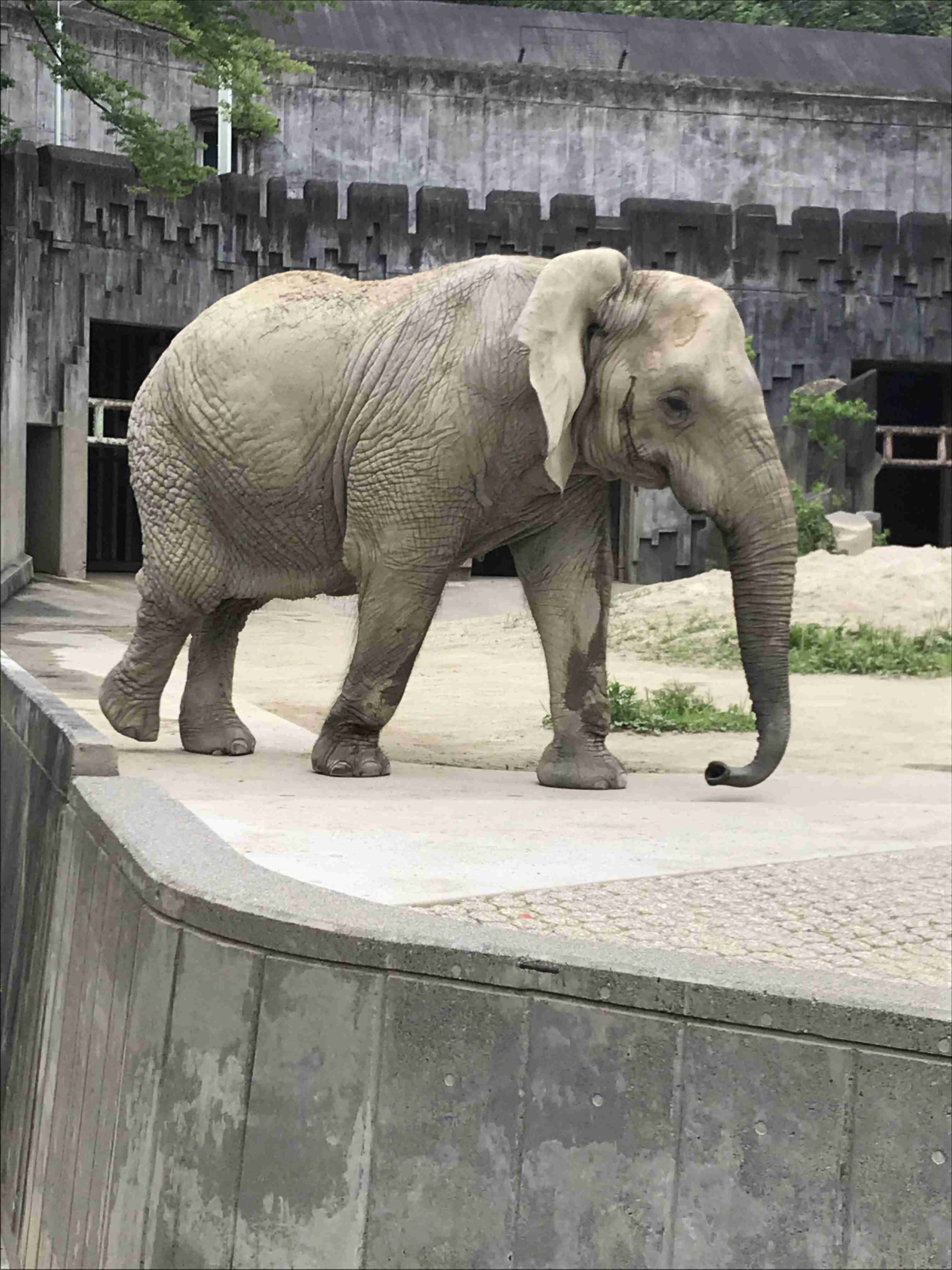 動物園や水族館で撮った写真見せてください!