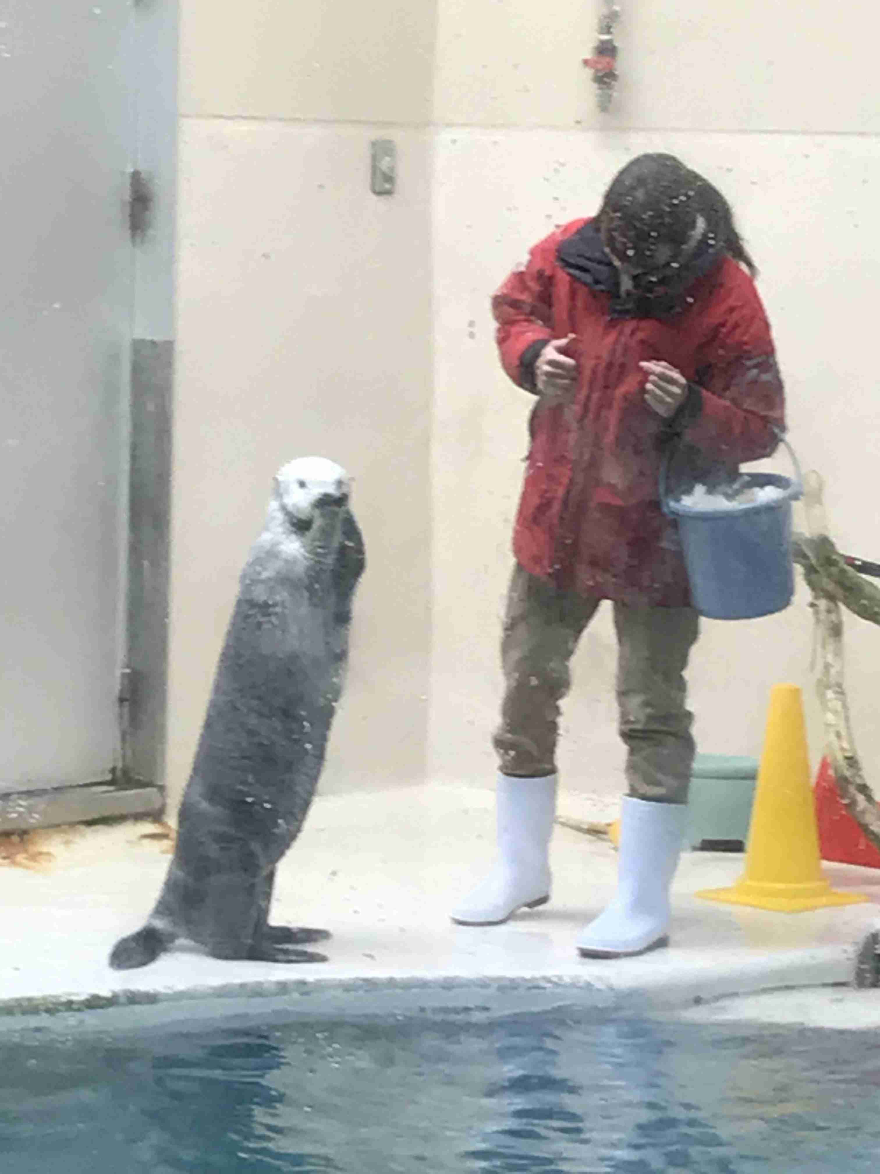 動物園や水族館で撮った写真見せてください!