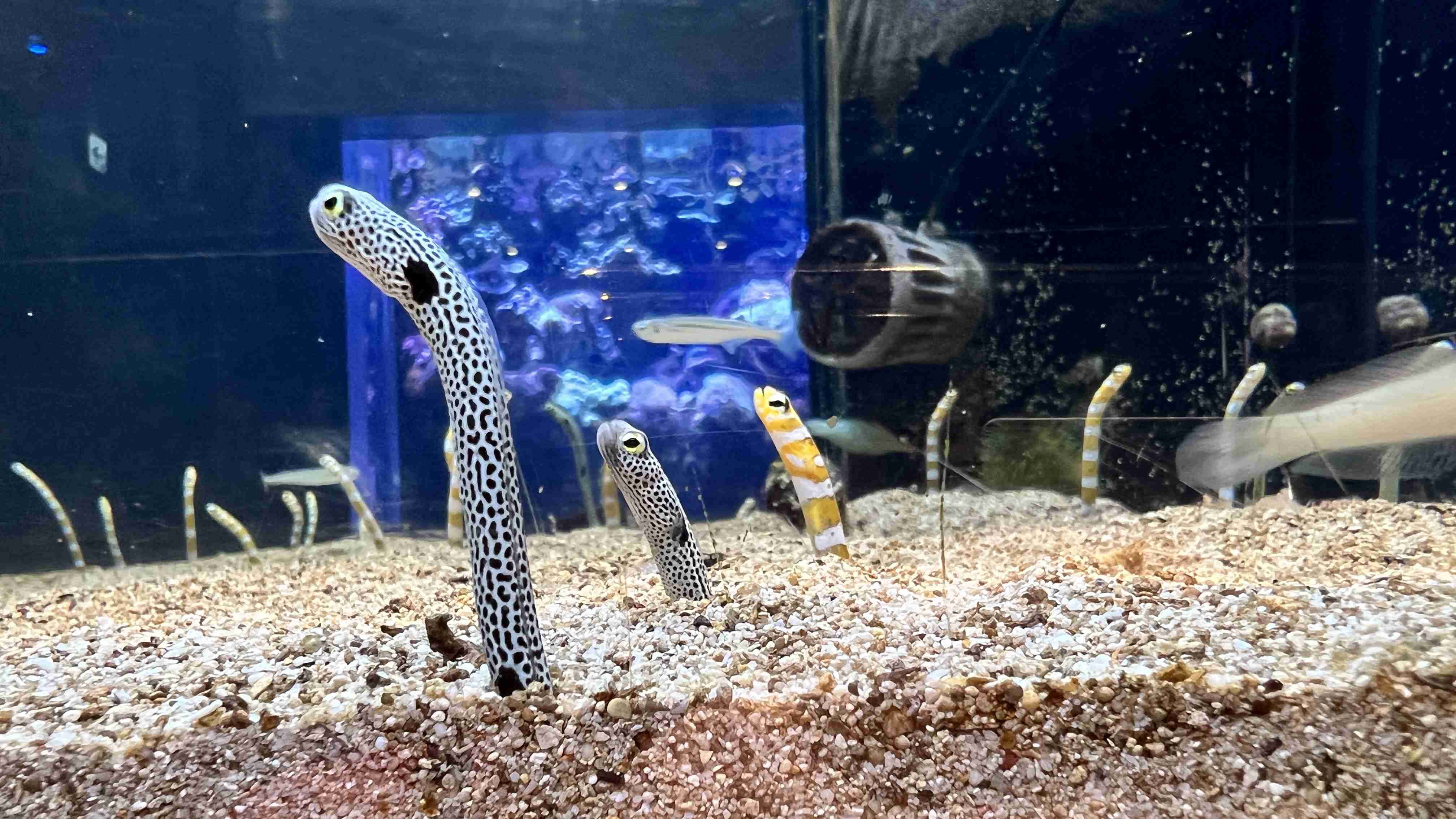 動物園や水族館で撮った写真見せてください!