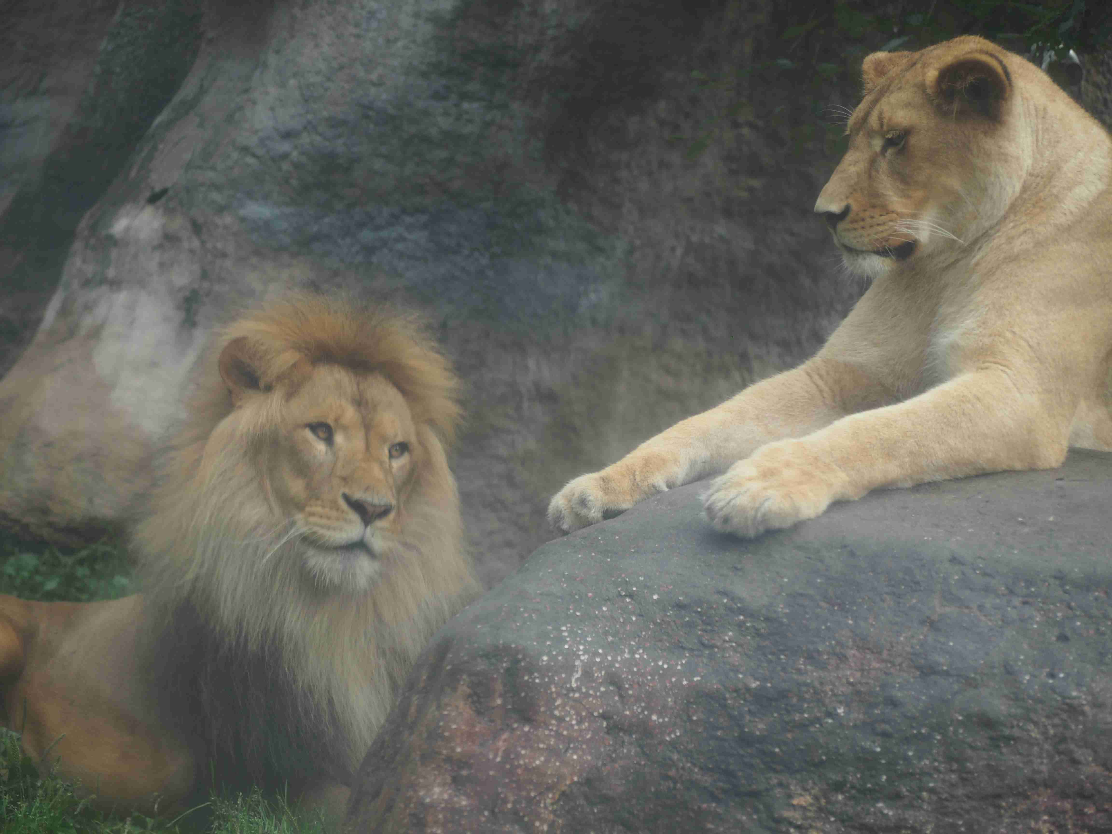 動物園や水族館で撮った写真見せてください!