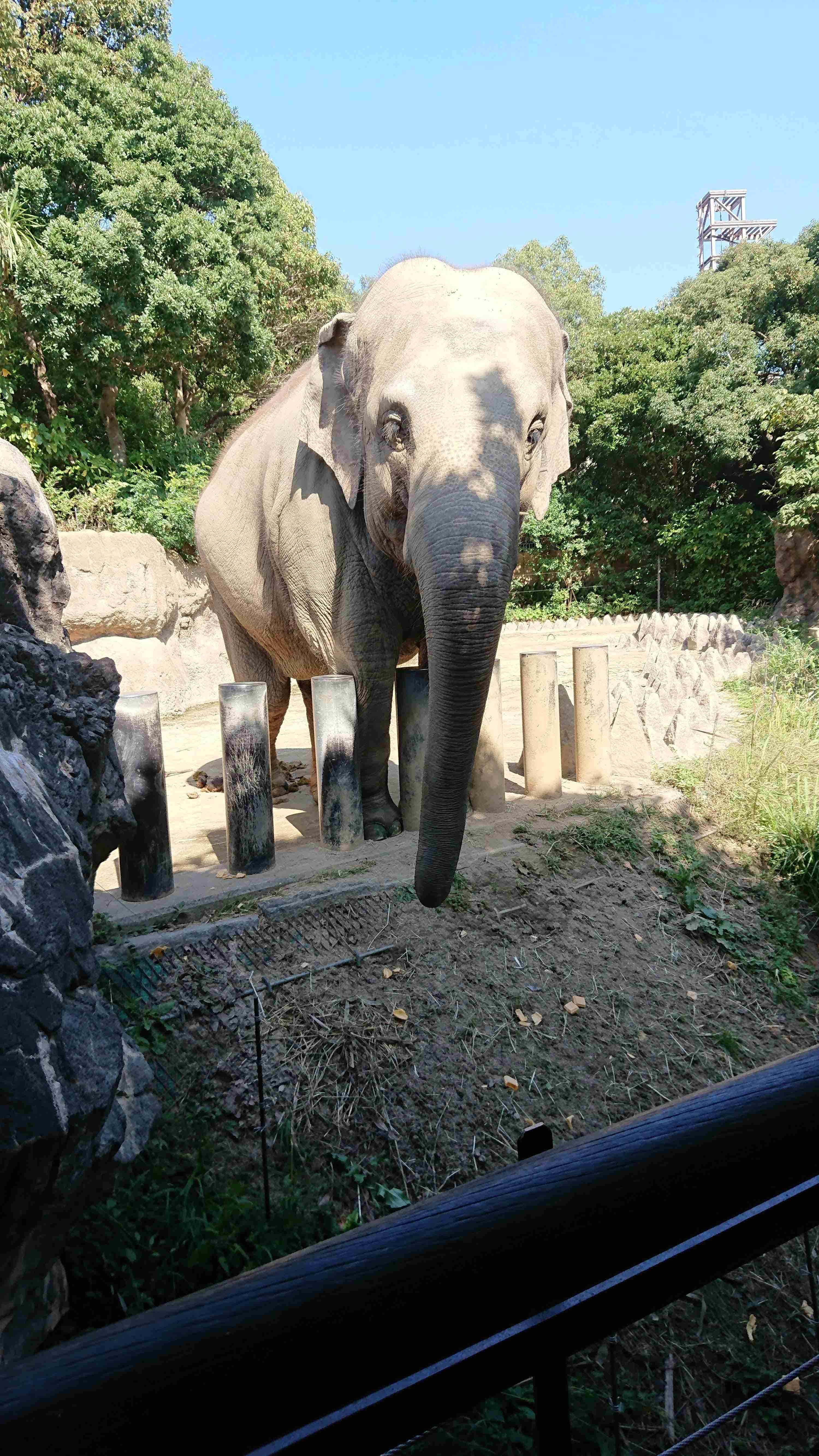 動物園や水族館で撮った写真見せてください!
