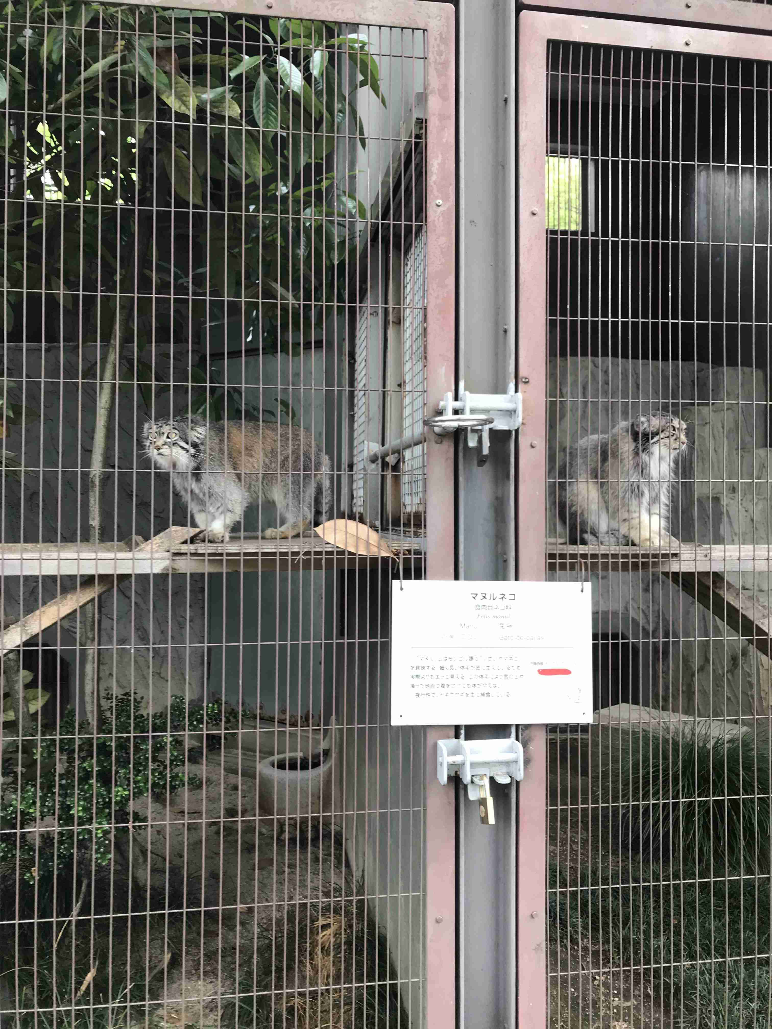 動物園や水族館で撮った写真見せてください!