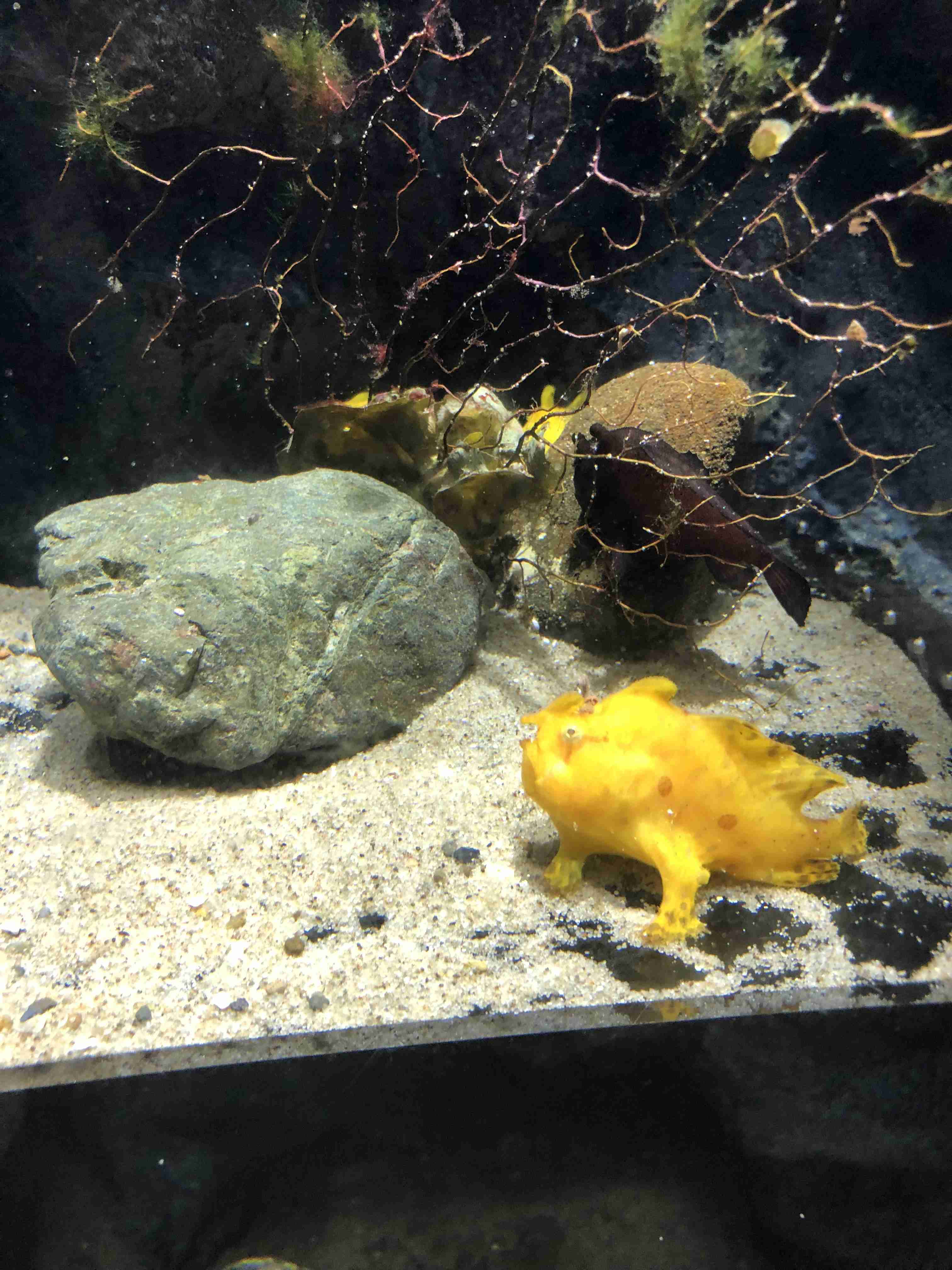 動物園や水族館で撮った写真見せてください!