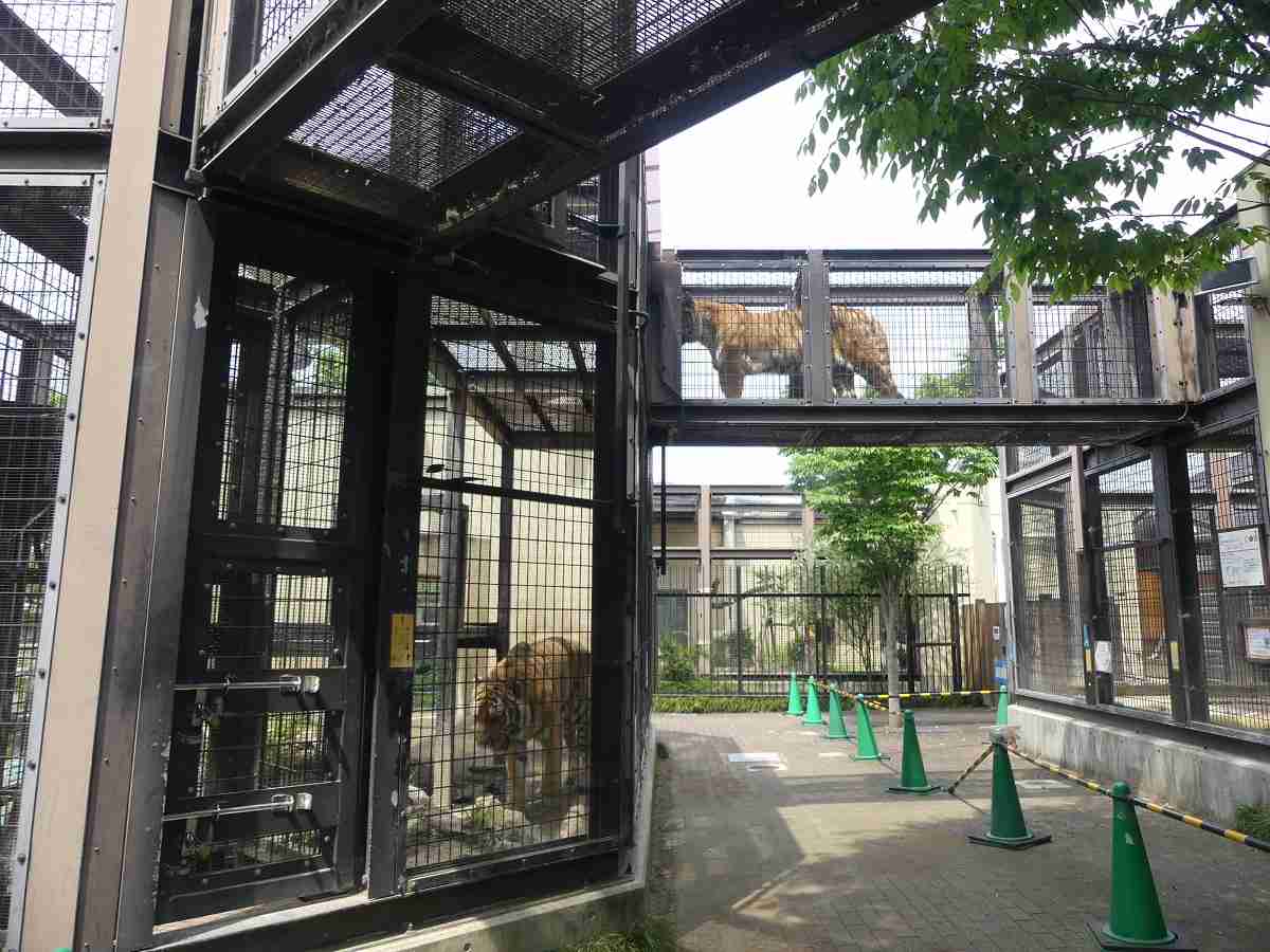 動物園や水族館で撮った写真見せてください!
