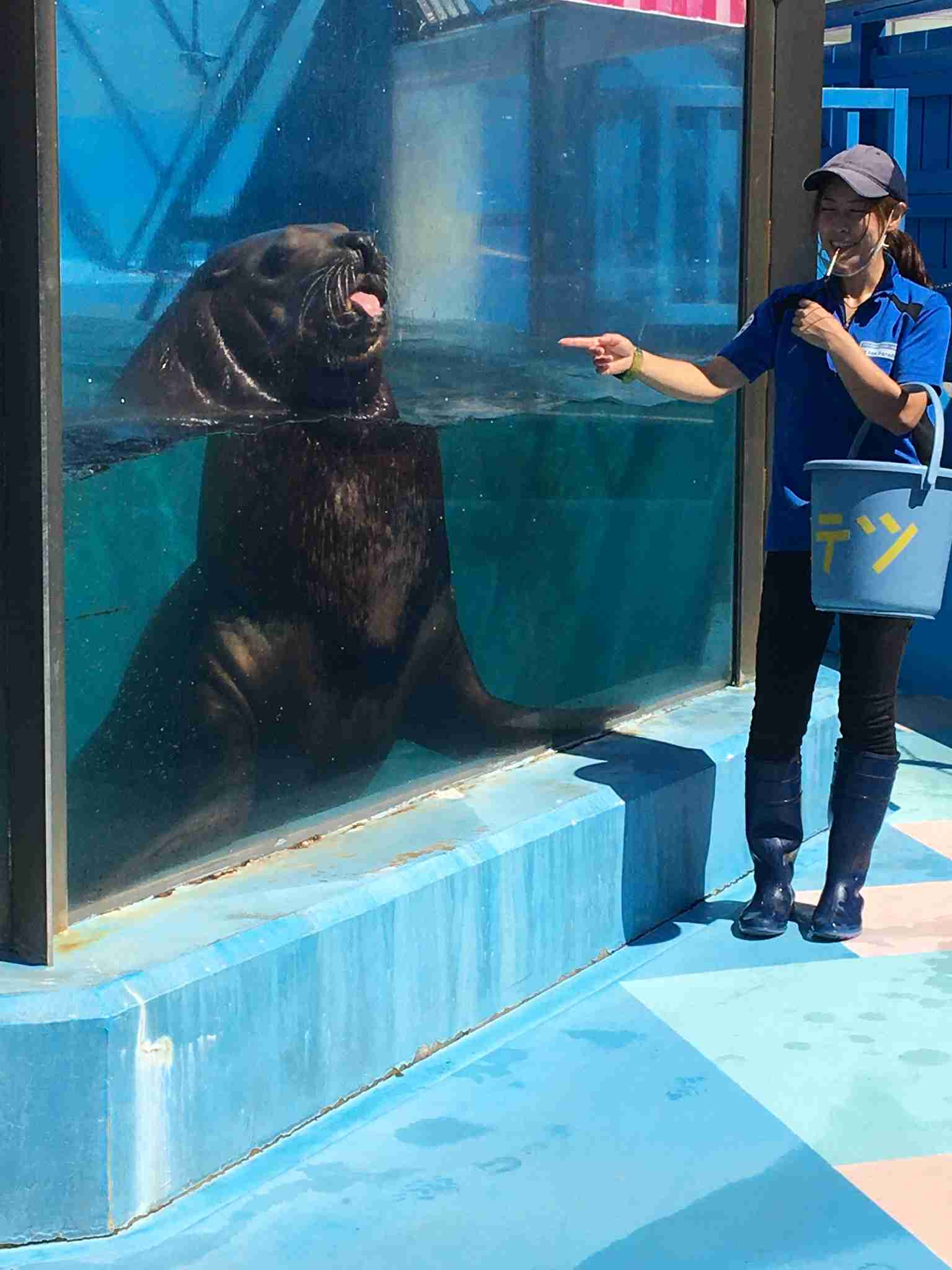 動物園や水族館で撮った写真見せてください!